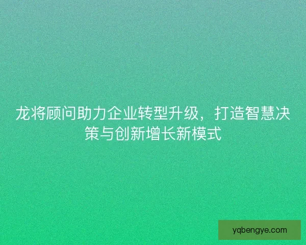 龙将顾问助力企业转型升级，打造智慧决策与创新增长新模式