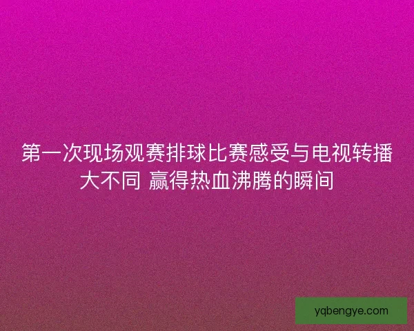 第一次现场观赛排球比赛感受与电视转播大不同 赢得热血沸腾的瞬间